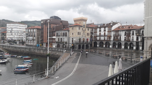 ABOGADA Mª BEGOÑA VEGA MARTIN
