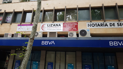 Lizana Abogados International Lawyer