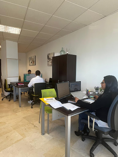 Grupo Consultae